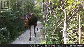 Lot 0 Whitewater | Greater Sudbury Ontario | Slide Image Forty-three