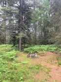 L17C3 Robinson Walkhouse Road | Manitoulin Island Ontario | Slide Image Thirteen