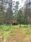 L17C3 Robinson Walkhouse Road | Manitoulin Island Ontario | Slide Image Sixteen