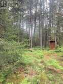 L17C3 Robinson Walkhouse Road | Manitoulin Island Ontario | Slide Image Nineteen