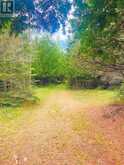 L17C3 Robinson Walkhouse Road | Manitoulin Island Ontario | Slide Image Twenty