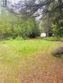 L17C3 Robinson Walkhouse Road | Manitoulin Island Ontario | Slide Image Twenty-one