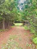 L17C3 Robinson Walkhouse Road | Manitoulin Island Ontario | Slide Image Twenty-two