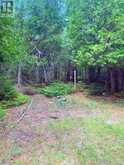 L17C3 Robinson Walkhouse Road | Manitoulin Island Ontario | Slide Image Twenty-eight