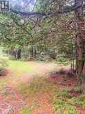 L17C3 Robinson Walkhouse Road | Manitoulin Island Ontario | Slide Image Twenty-nine