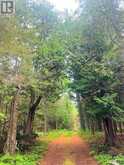 L17C3 Robinson Walkhouse Road | Manitoulin Island Ontario | Slide Image Thirty