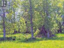 Second Lot Beach South Road | Manitoulin Island Ontario | Slide Image Sixteen