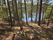 2062B Highway 64 | French River Ontario | Slide Image Six