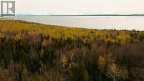 81 High Falls Road | Assiginack Ontario | Slide Image Three