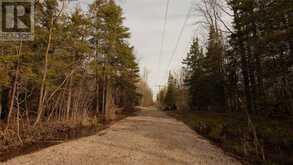 81 High Falls Road | Assiginack Ontario | Slide Image Eight
