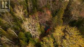 81 High Falls Road | Assiginack Ontario | Slide Image Nine