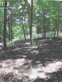 TBD Doc Strain Drive | Manitoulin Island Ontario | Slide Image Three