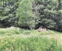TBD Doc Strain Drive | Manitoulin Island Ontario | Slide Image Four