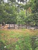 TBD Doc Strain Drive | Manitoulin Island Ontario | Slide Image Five