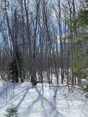 261 4 TH Line | Manitoulin Island Ontario | Slide Image Seven