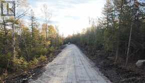 N/A Highway 6 | Manitoulin Island Ontario | Slide Image Thirteen