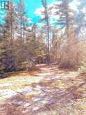 494 Walkhouse Road | Manitoulin Island Ontario | Slide Image Twenty-four