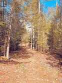 494 Walkhouse Road | Manitoulin Island Ontario | Slide Image Twenty-eight