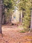 494 Walkhouse Road | Manitoulin Island Ontario | Slide Image Thirty-three