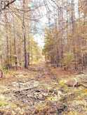 494 Walkhouse Road | Manitoulin Island Ontario | Slide Image Thirty-seven