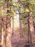 494 Walkhouse Road | Manitoulin Island Ontario | Slide Image Thirty-eight
