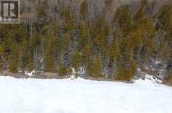 N/A Kokomo Trail | Manitoulin Island Ontario | Slide Image Twelve