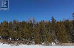 N/A Kokomo Trail | Manitoulin Island Ontario | Slide Image Fifteen