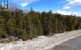 N/A Kokomo Trail | Manitoulin Island Ontario | Slide Image Sixteen