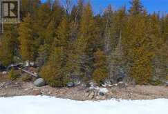 N/A Kokomo Trail | Manitoulin Island Ontario | Slide Image Eight