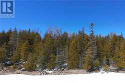 N/A Kokomo Trail | Manitoulin Island Ontario | Slide Image Nine