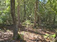 Lot 5 31M-209 Water Street | Manitoulin Island Ontario | Slide Image Ten