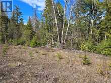Lot 5 31M-209 Water Street | Manitoulin Island Ontario | Slide Image Eleven