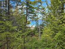 Lot 5 31M-209 Water Street | Manitoulin Island Ontario | Slide Image Nine