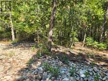 Lot 1 31M-209 Water Street | Manitoulin Island Ontario | Slide Image Ten