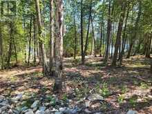 Lot 1 31M-209 Water Street | Manitoulin Island Ontario | Slide Image Eleven
