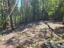 Lot 1 31M-209 Water Street | Manitoulin Island Ontario | Slide Image Twelve