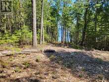 Lot 1 31M-209 Water Street | Manitoulin Island Ontario | Slide Image Thirteen