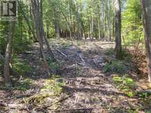 Lot 1 31M-209 Water Street | Manitoulin Island Ontario | Slide Image Sixteen