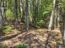 Lot 1 31M-209 Water Street | Manitoulin Island Ontario | Slide Image Seventeen