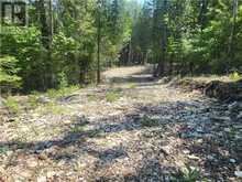 Lot 1 31M-209 Water Street | Manitoulin Island Ontario | Slide Image Nineteen
