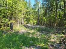 Lot 1 31M-209 Water Street | Manitoulin Island Ontario | Slide Image Twenty