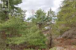 00 Faraway | Espanola Ontario | Slide Image Eight
