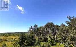 na White's Point Road | Manitoulin Island Ontario | Slide Image Eight