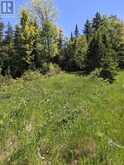 PL9C15 Assiginack | Tehkummah Ontario | Slide Image Twelve