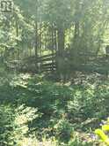 PL9C15 Assiginack | Tehkummah Ontario | Slide Image Seventeen
