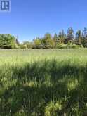 PL9C15 Assiginack | Tehkummah Ontario | Slide Image Eight