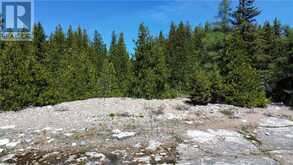 715 Lake Huron Drive | Manitoulin Island Ontario | Slide Image Seventeen