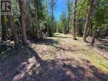 715 Lake Huron Drive | Manitoulin Island Ontario | Slide Image Twenty-four