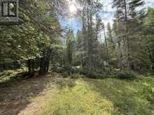 2099 Bidwell Road | Assiginack Ontario | Slide Image Fifteen