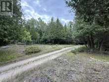 2099 Bidwell Road | Assiginack Ontario | Slide Image Sixteen